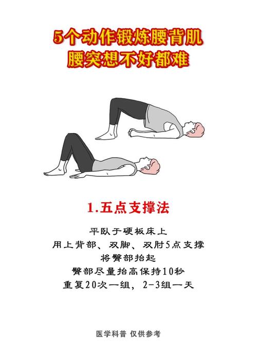 腰背肌功能锻炼视频2026