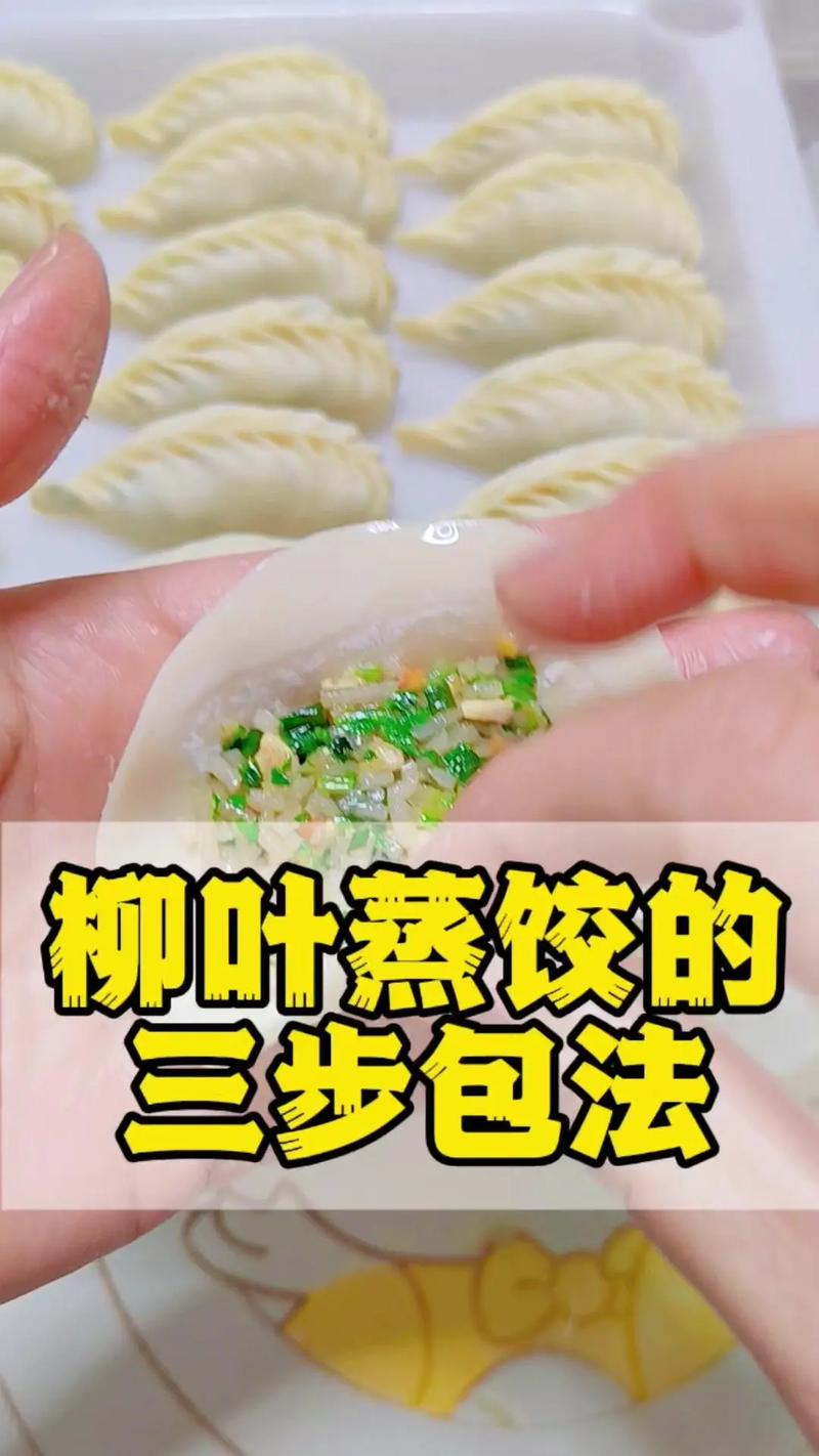 怎样包蒸饺视频2026