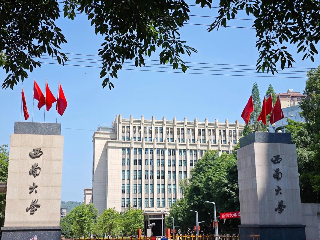 西南大学宣传视频2026