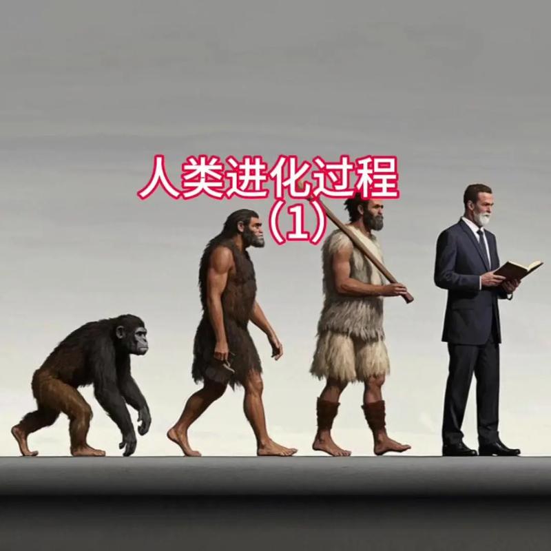 人类变化过程视频2026