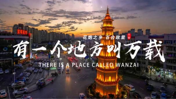 万载新闻视频2026
