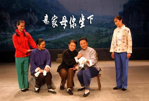 亲家母你坐下视频2026