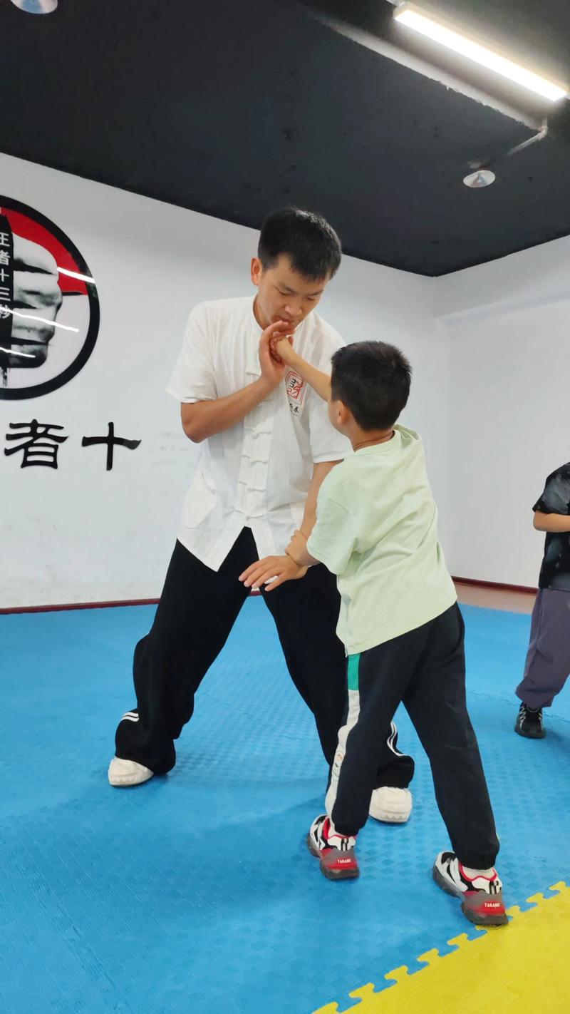 咏春拳教学视频慢动作2026