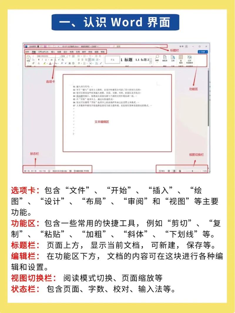 word学习视频2026