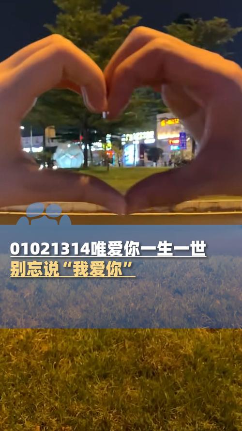 向女孩表白的视频2026