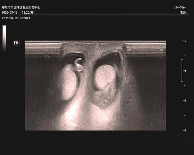 b超教学视频大全2026