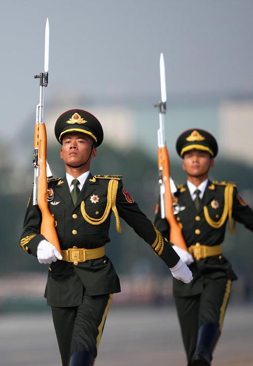 标兵就位视频2026