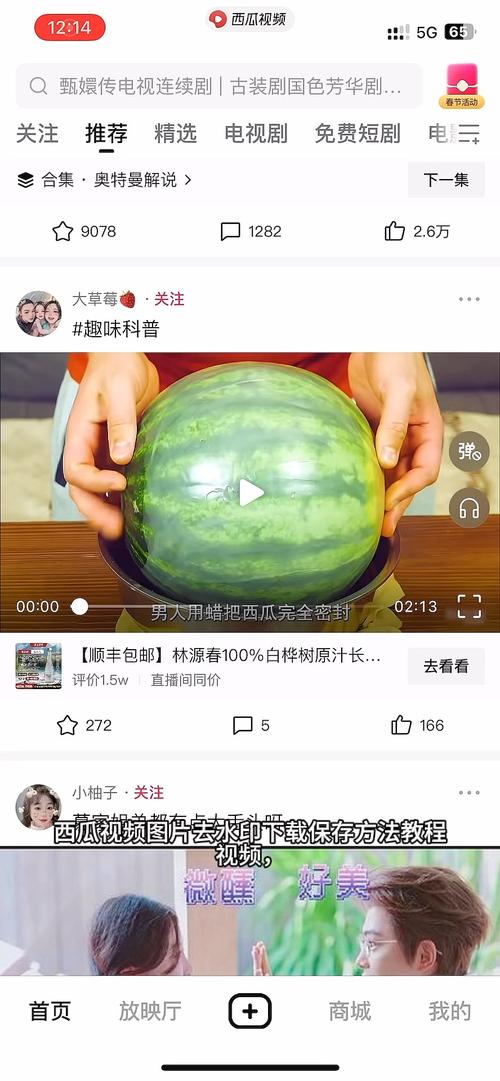 西瓜视频mac2026