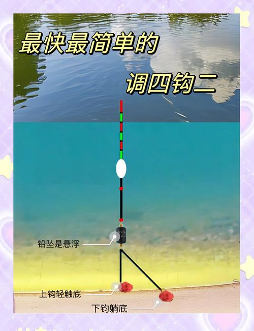 台钓入门教学视频2026