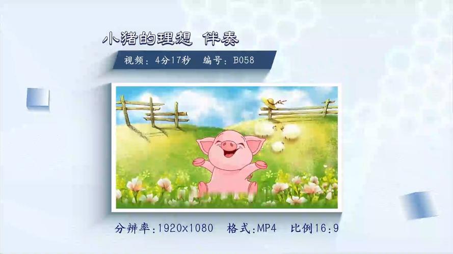 小猪的理想视频2026