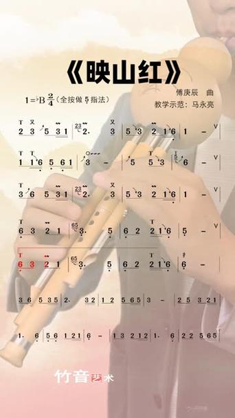 映山红葫芦丝教学视频2026