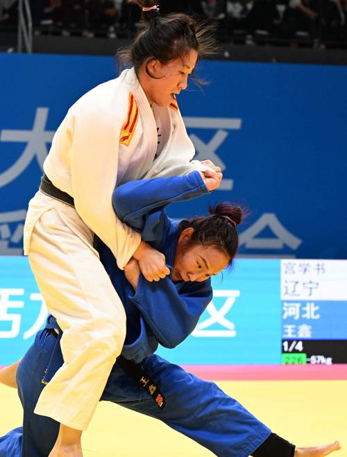女子柔道比赛视频2026
