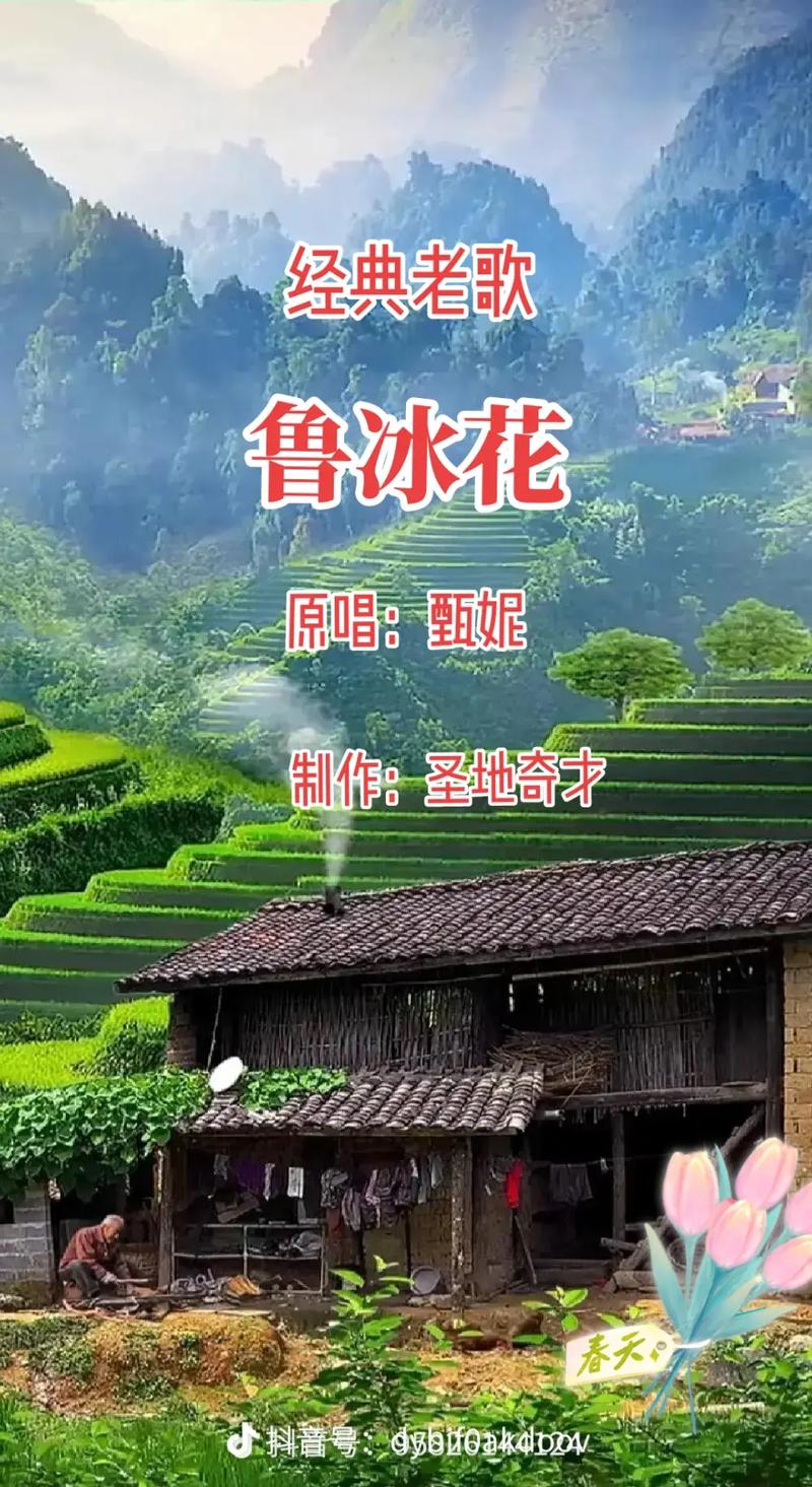鲁冰花歌曲视频2026