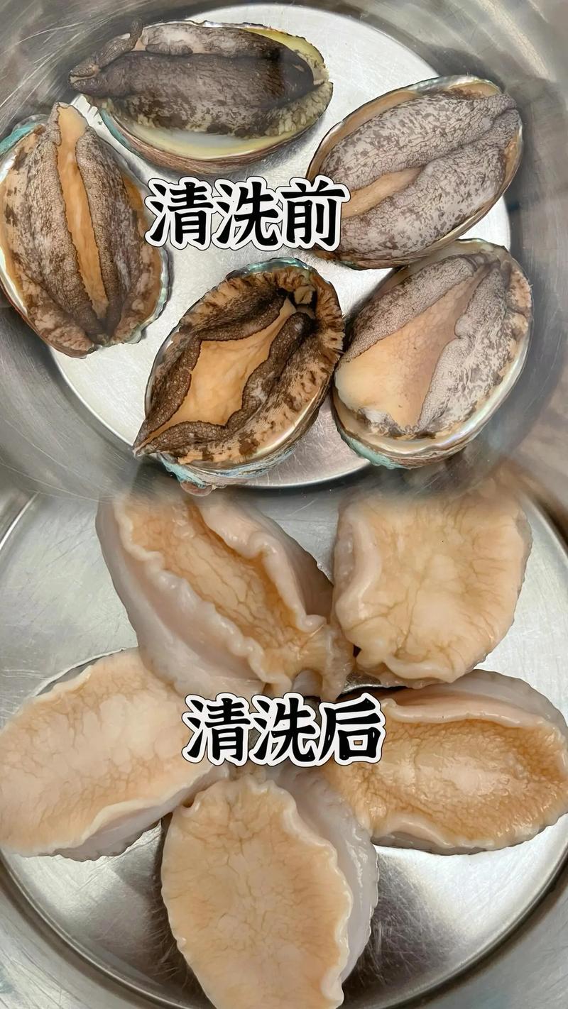 鲍鱼怎么处理视频2026