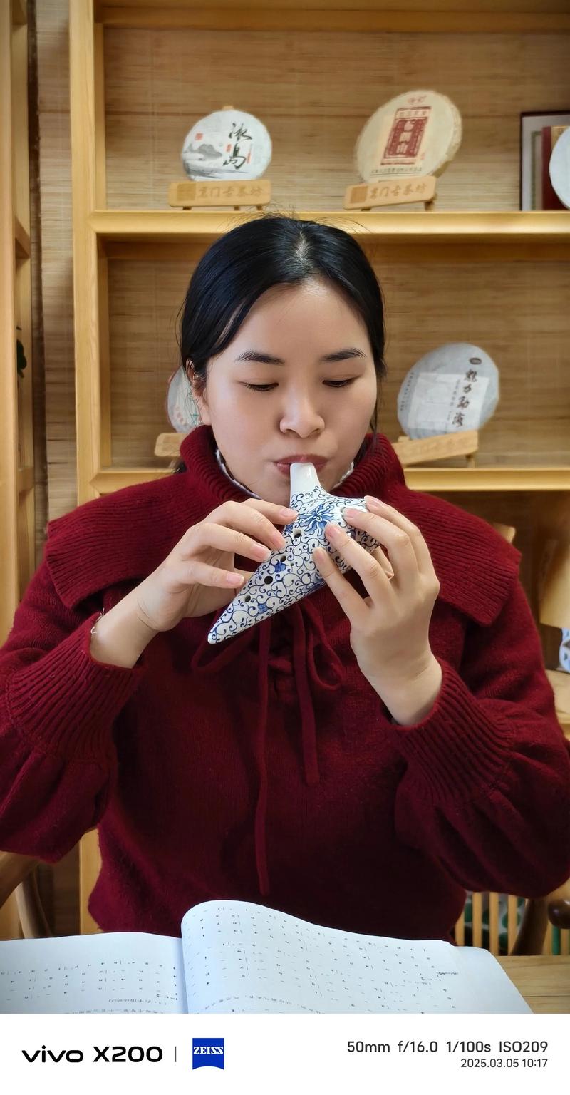 陶笛赵芳视频2026