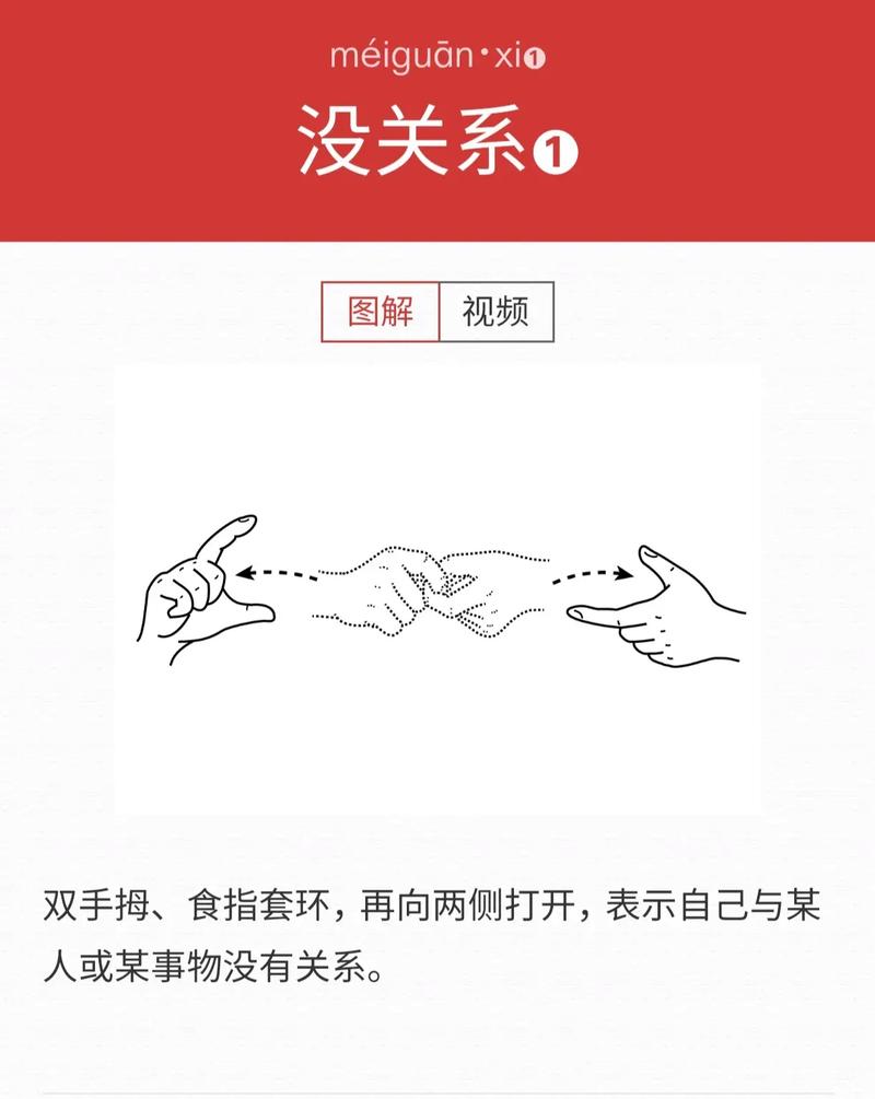 基础手语教学视频2026