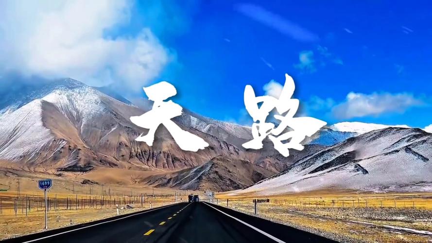 天路视频大全播放2026