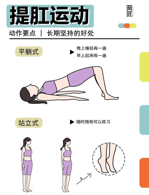 提肛运动怎么做视频2026
