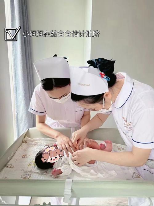 照顾新生儿视频教程2026