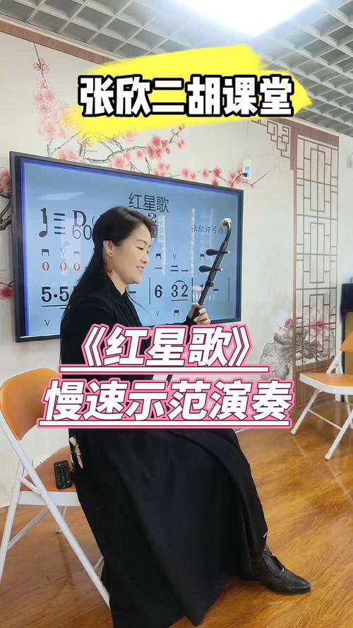 红星歌指挥视频2026