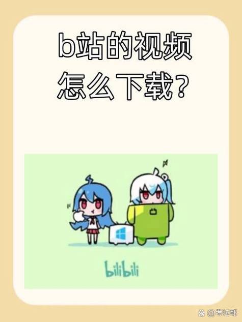 b站视频可以下载吗2026