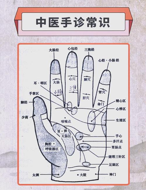 手诊视频全集2026