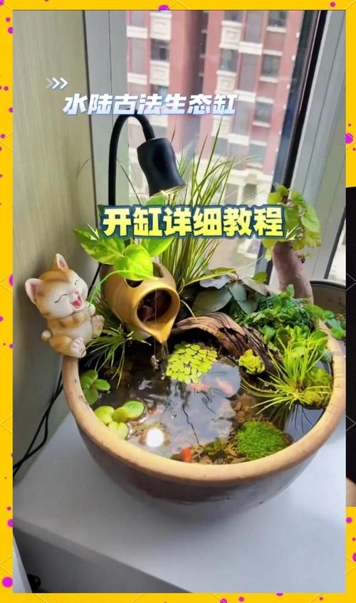鱼缸制作视频教程全集2026