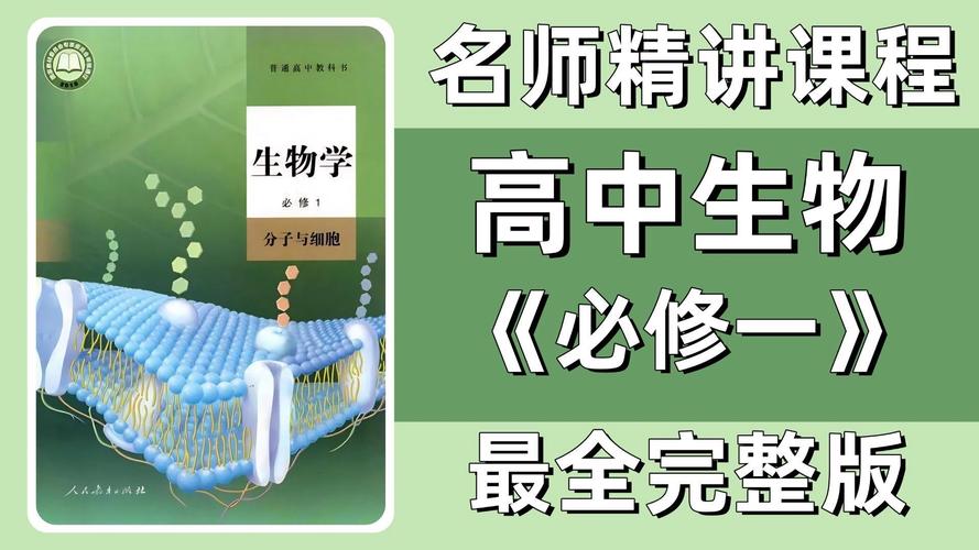 高中生物试讲视频2026