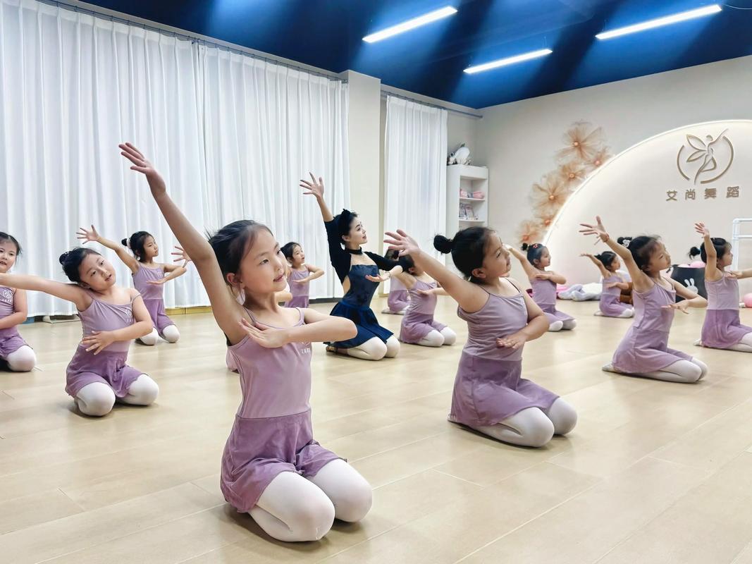 国标舞教学视频大全2026