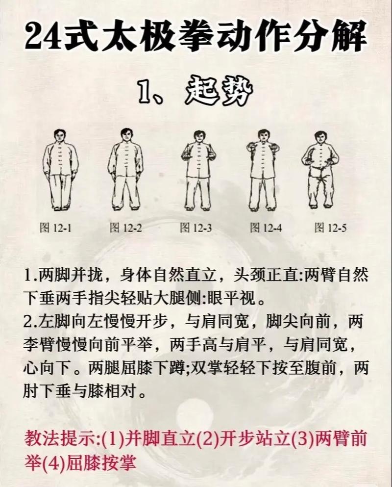 陈氏24式太极拳视频2026