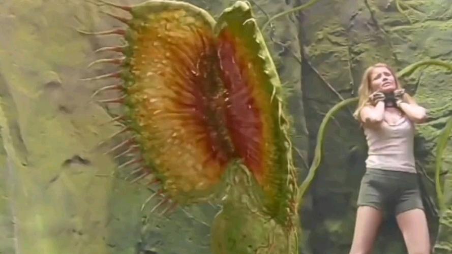 吃人植物视频2026