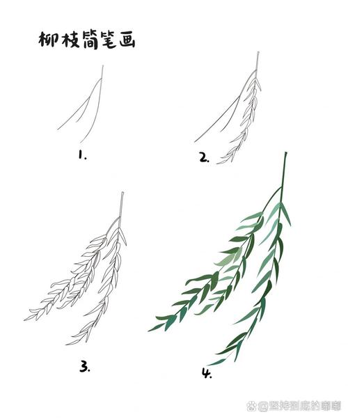 轻描柳叶2026