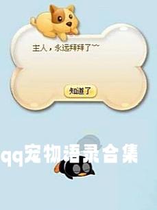 qq宠物领养2026