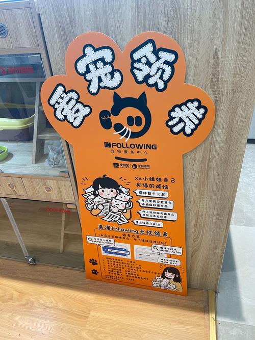 领养qq宠物2026