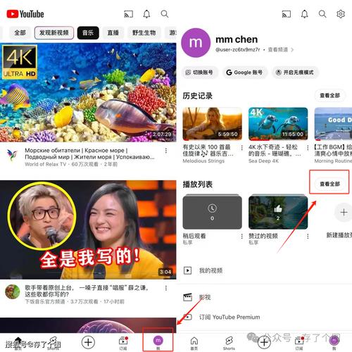 如何看youtube2026
