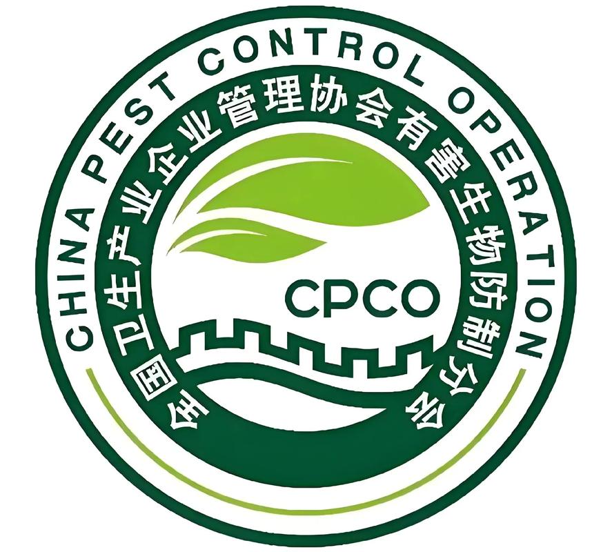 中国杀毒2026