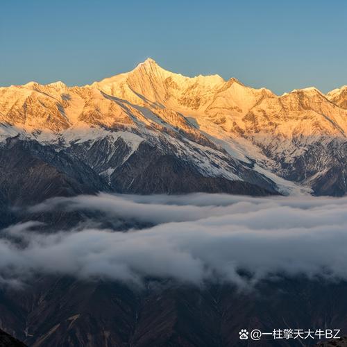 金山与3602026