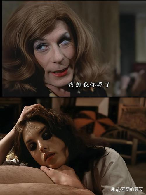 奇怪的房客2026
