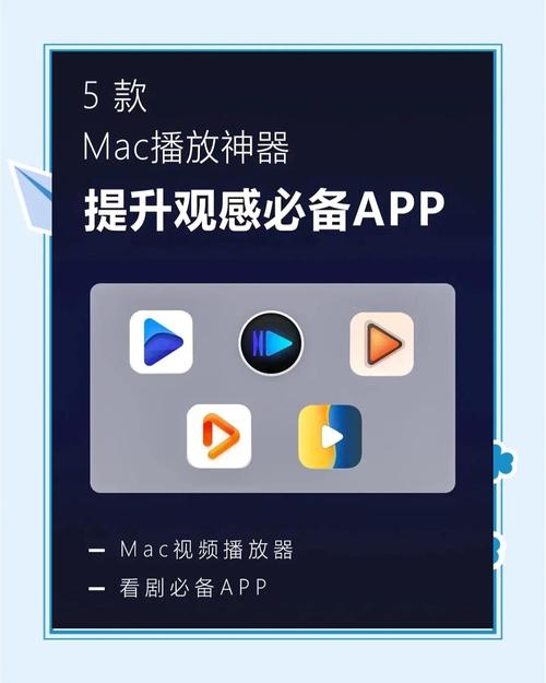 随播播放器官方下载2026