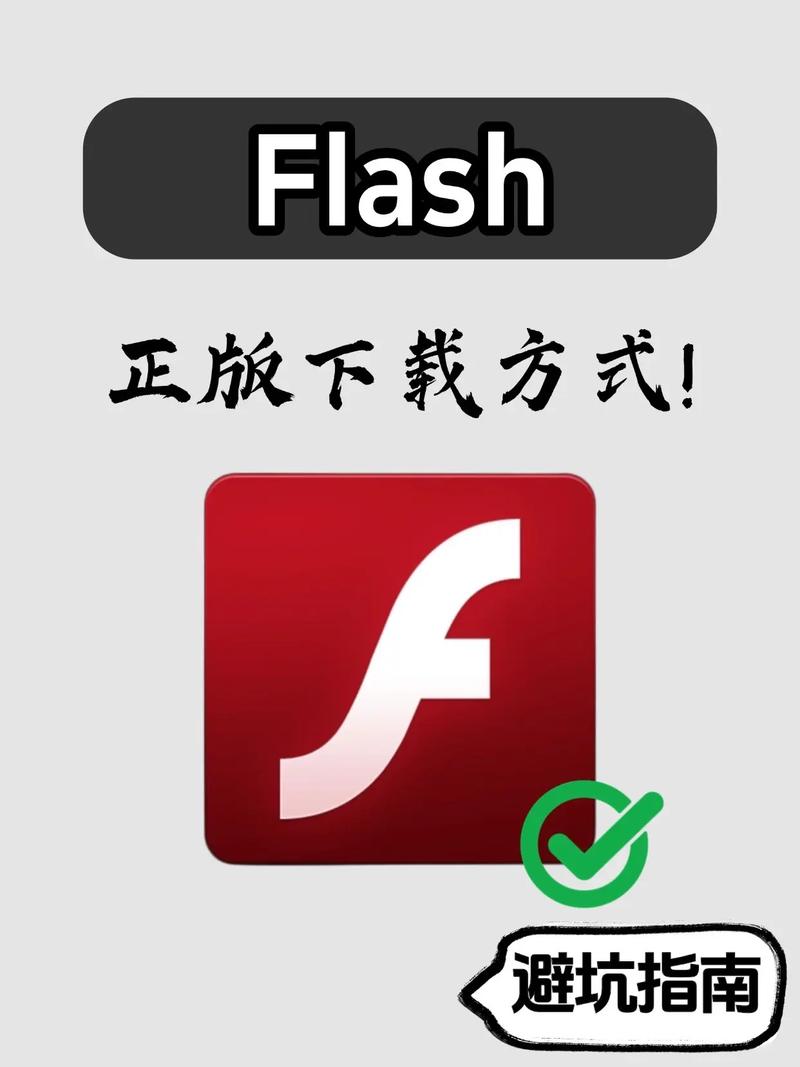 小小flash下载2026