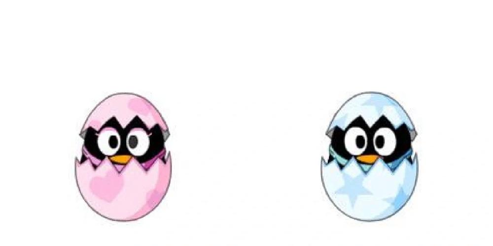 qq 宠物2026