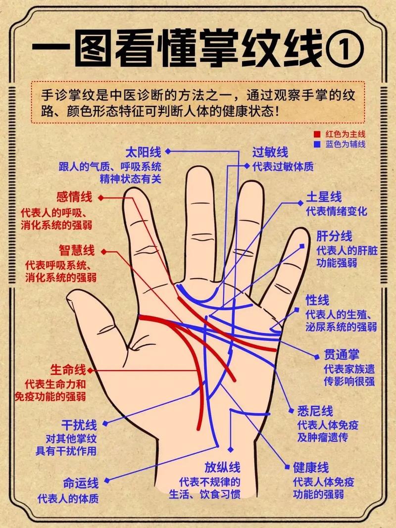 手相学下载2026