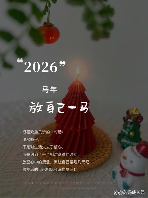 执着2026