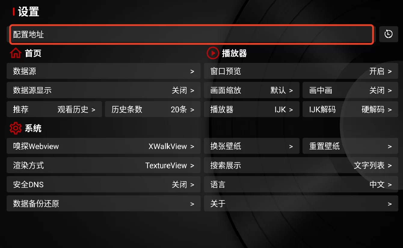 TVBox电视版配置地址界面