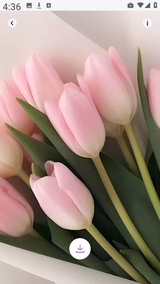 DIY主题组件库 DIY主题组件库