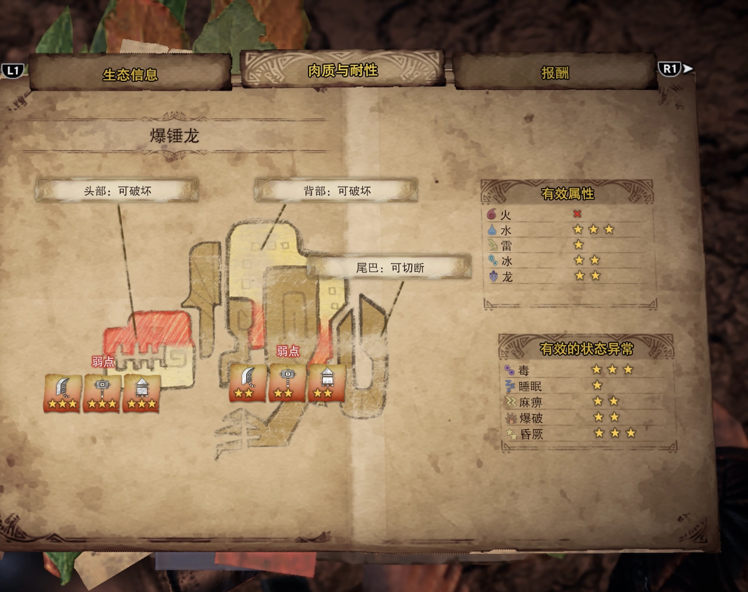 弱点分析 弱点分析