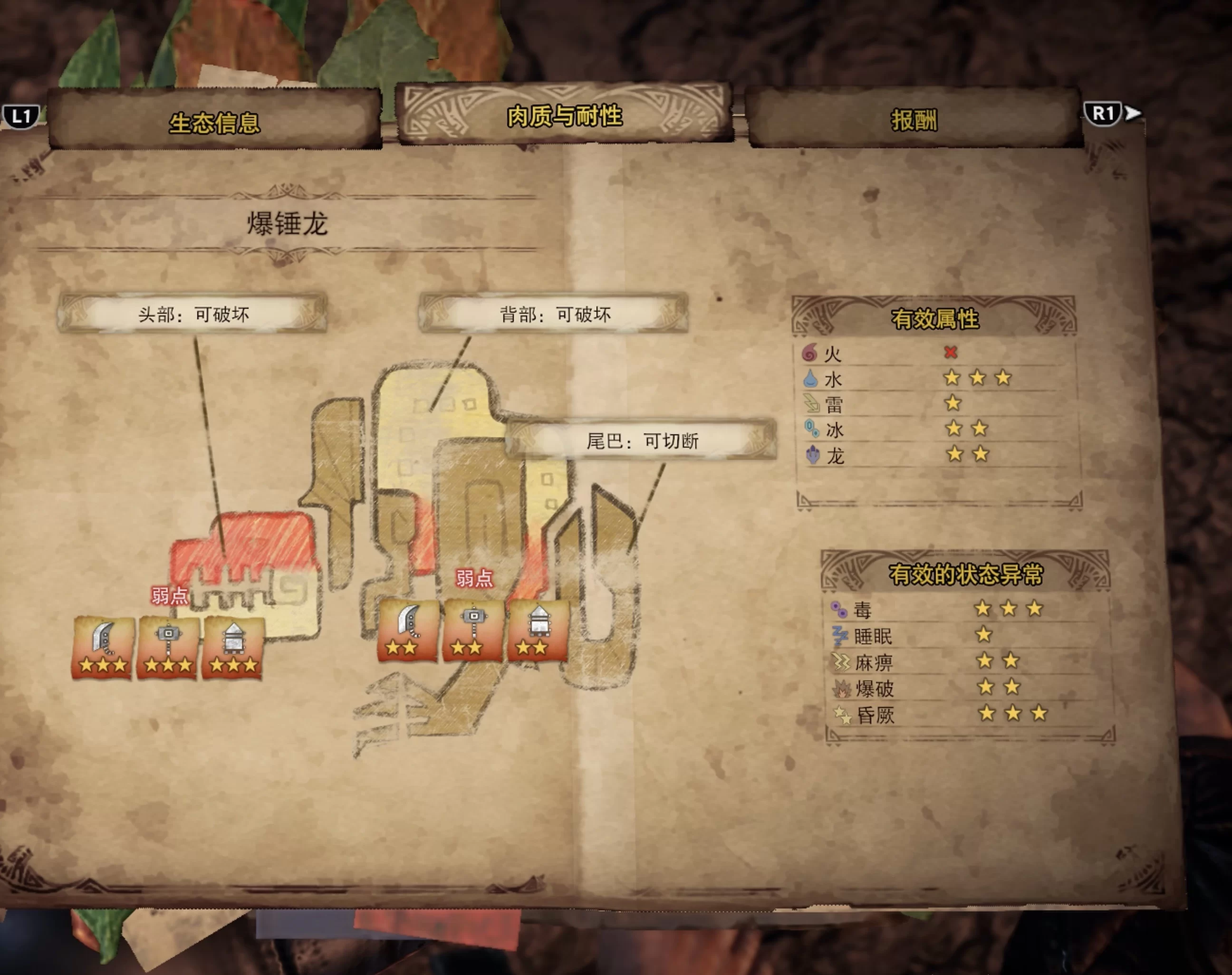 弱点分析 弱点分析