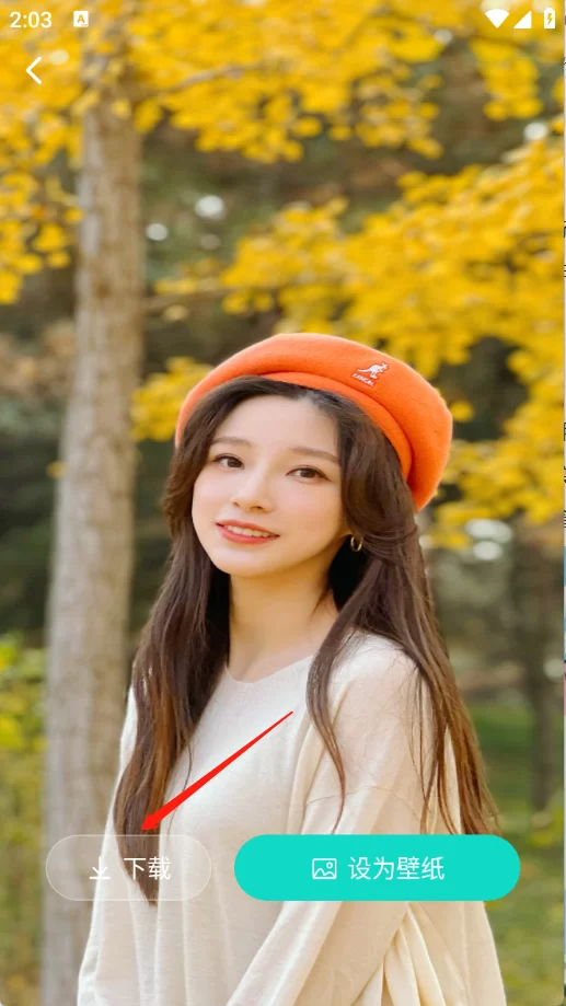 主题壁纸多多下载界面