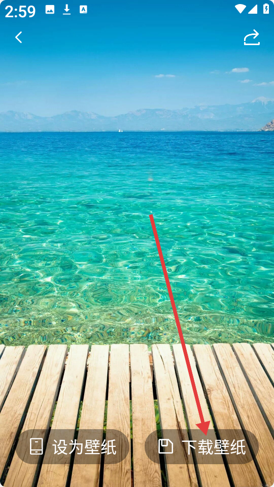 星狐壁纸下载界面