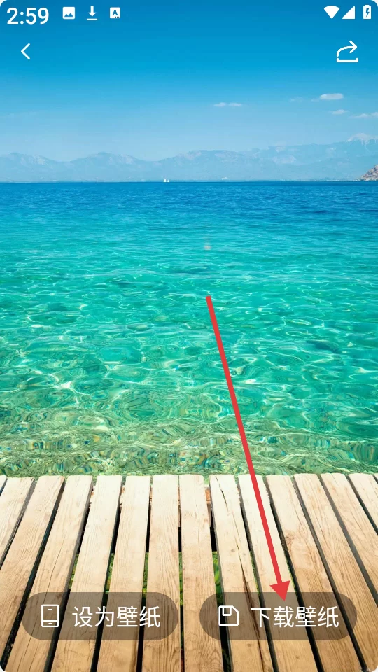 星狐壁纸下载界面